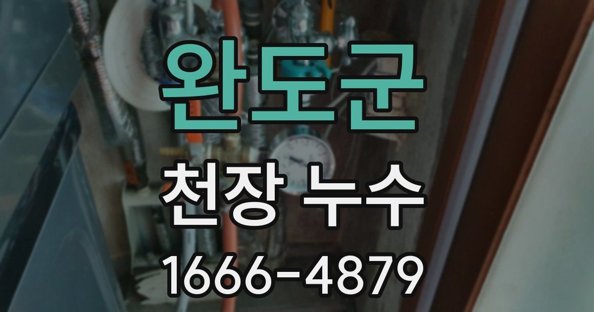 완도군 천장 누수