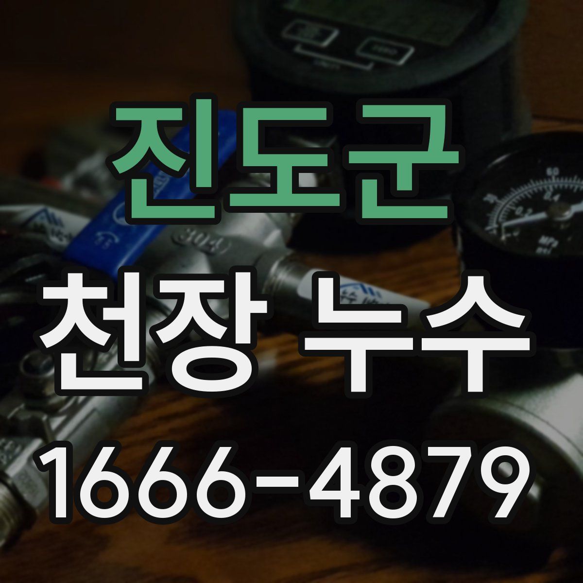 진도군 천장 누수