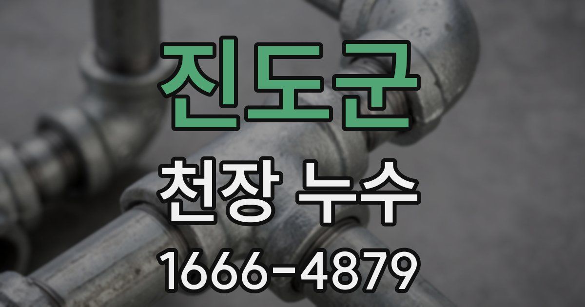 진도군 천장 누수