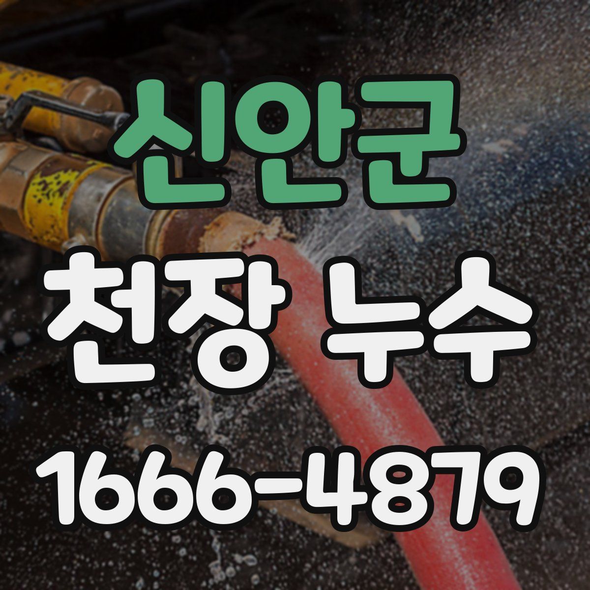 신안군 천장 누수