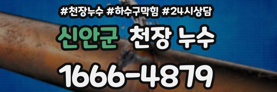 신안군 천장 누수