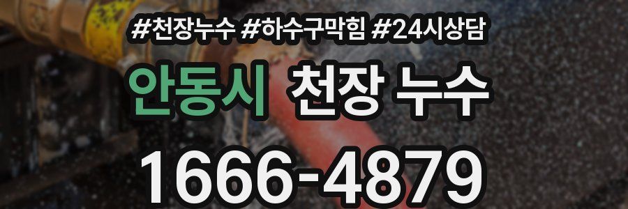 안동시 천장 누수