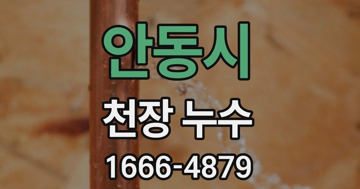 안동시 천장 누수