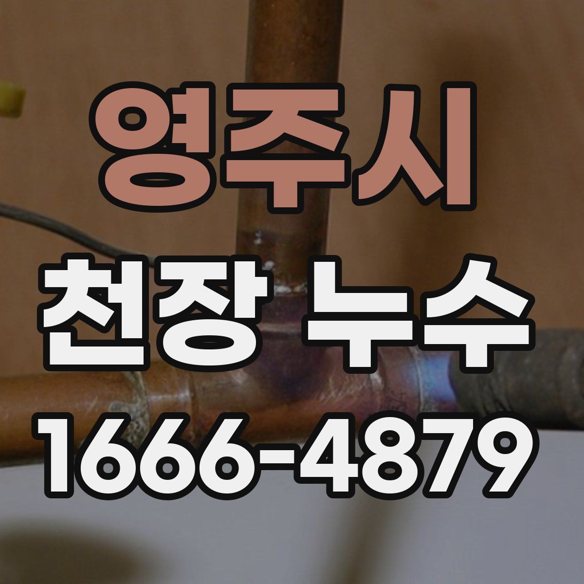 영주시 천장 누수