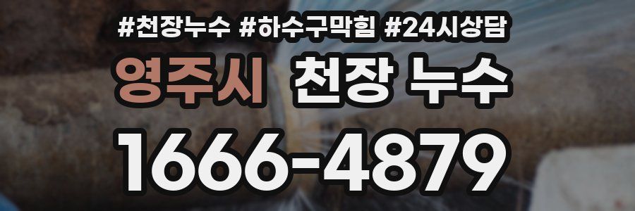 영주시 천장 누수