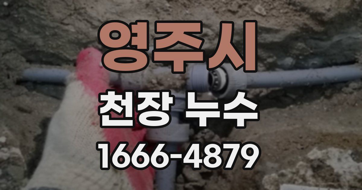 영주시 천장 누수