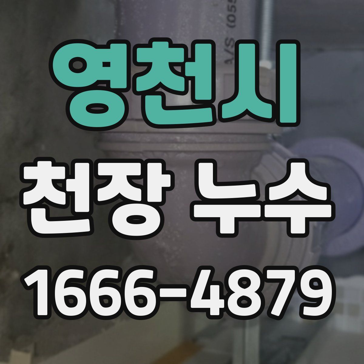 영천시 천장 누수