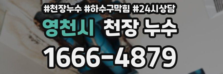 영천시 천장 누수