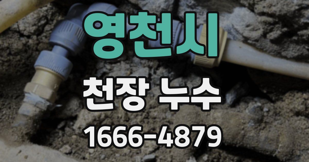 영천시 천장 누수