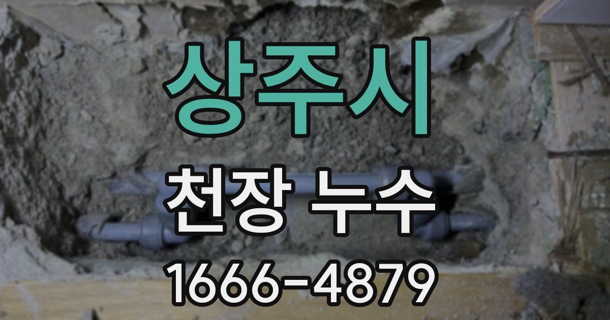 상주시 천장 누수