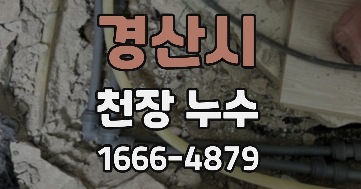 경산시 천장 누수