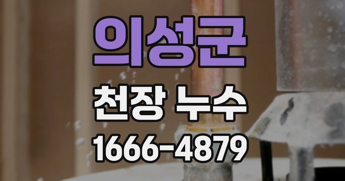 의성군 천장 누수