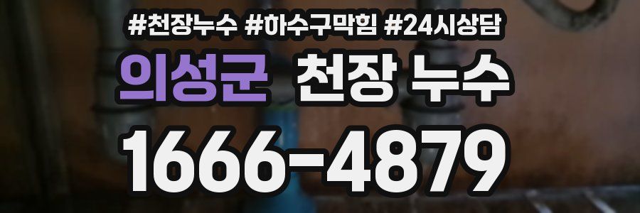 의성군 천장 누수