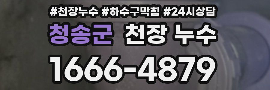 청송군 천장 누수