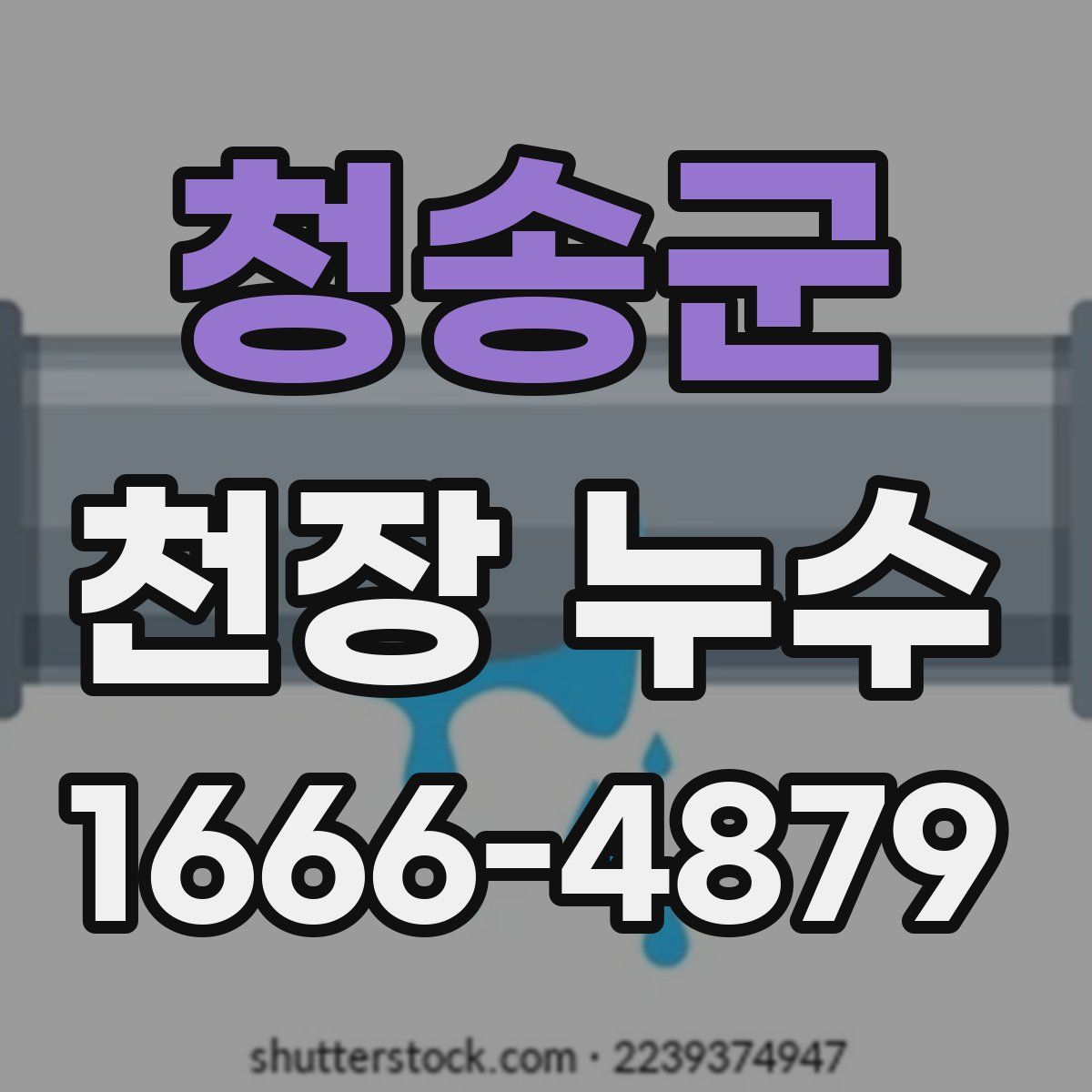 청송군 천장 누수