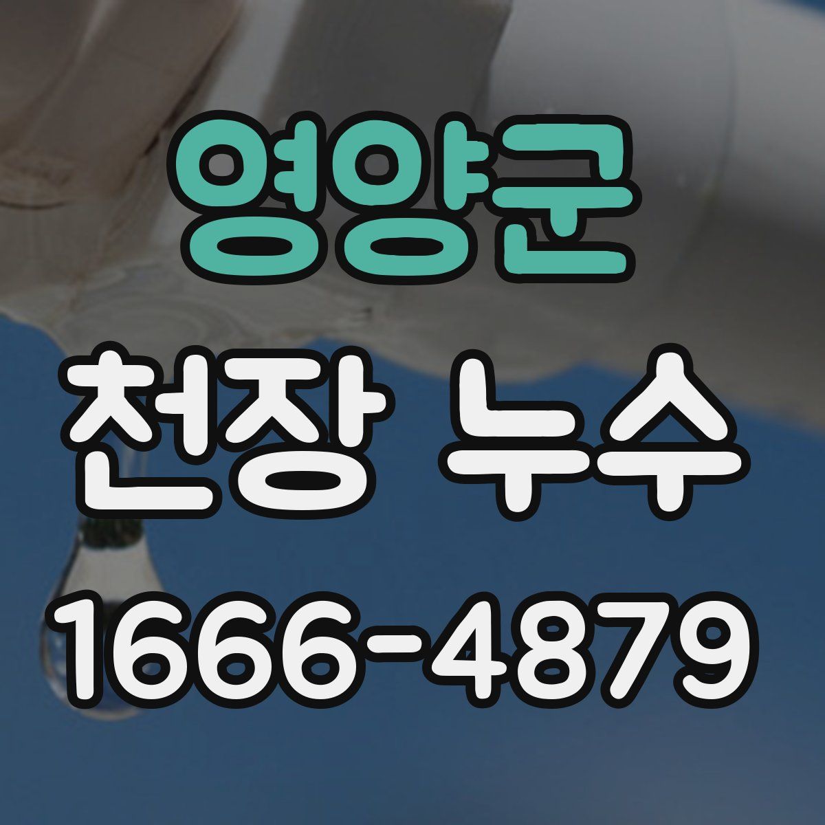 영양군 천장 누수