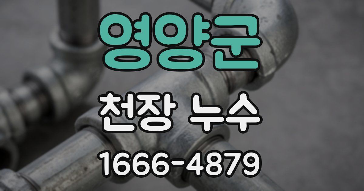 영양군 천장 누수