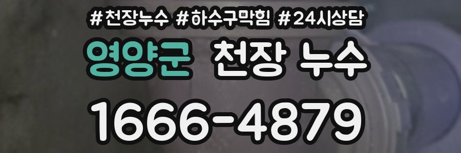 영양군 천장 누수