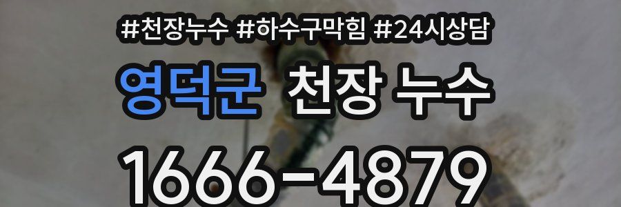 영덕군 천장 누수