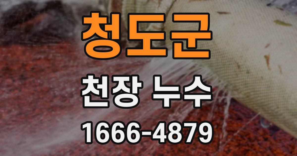 청도군 천장 누수