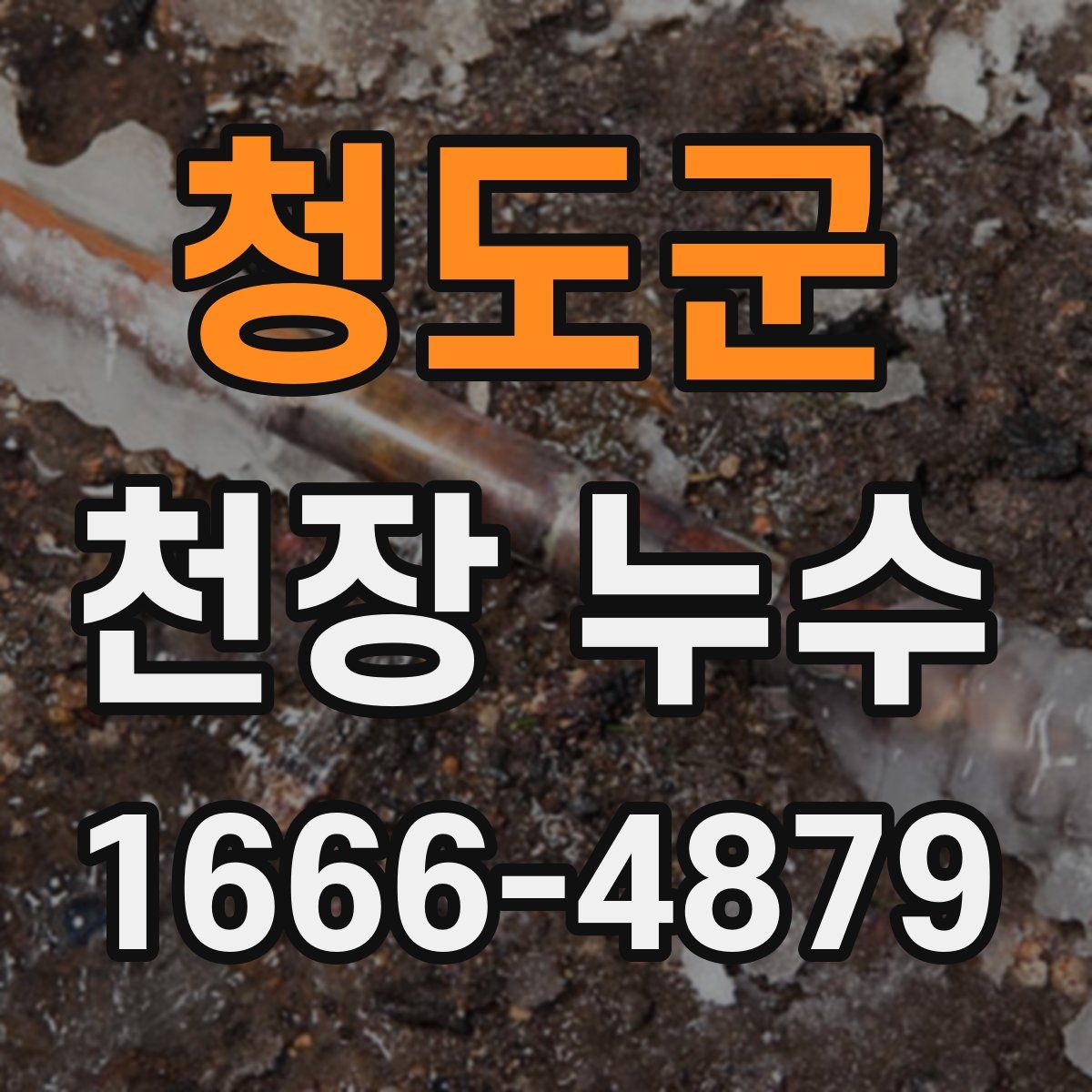 청도군 천장 누수