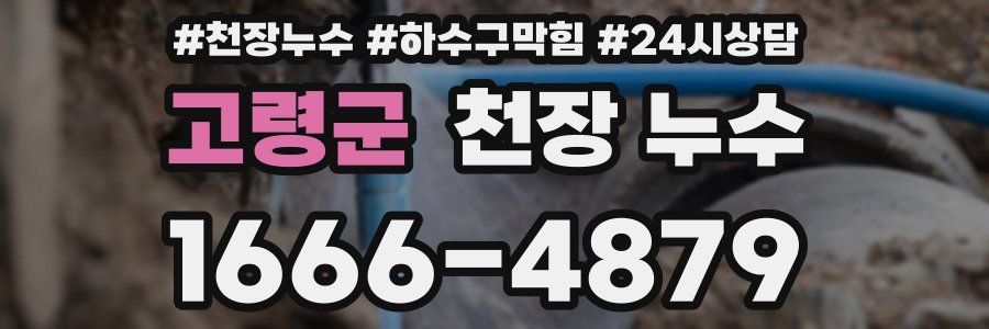 고령군 천장 누수