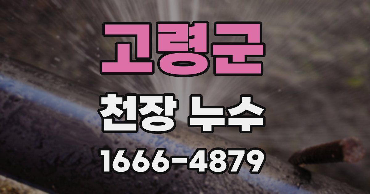 고령군 천장 누수