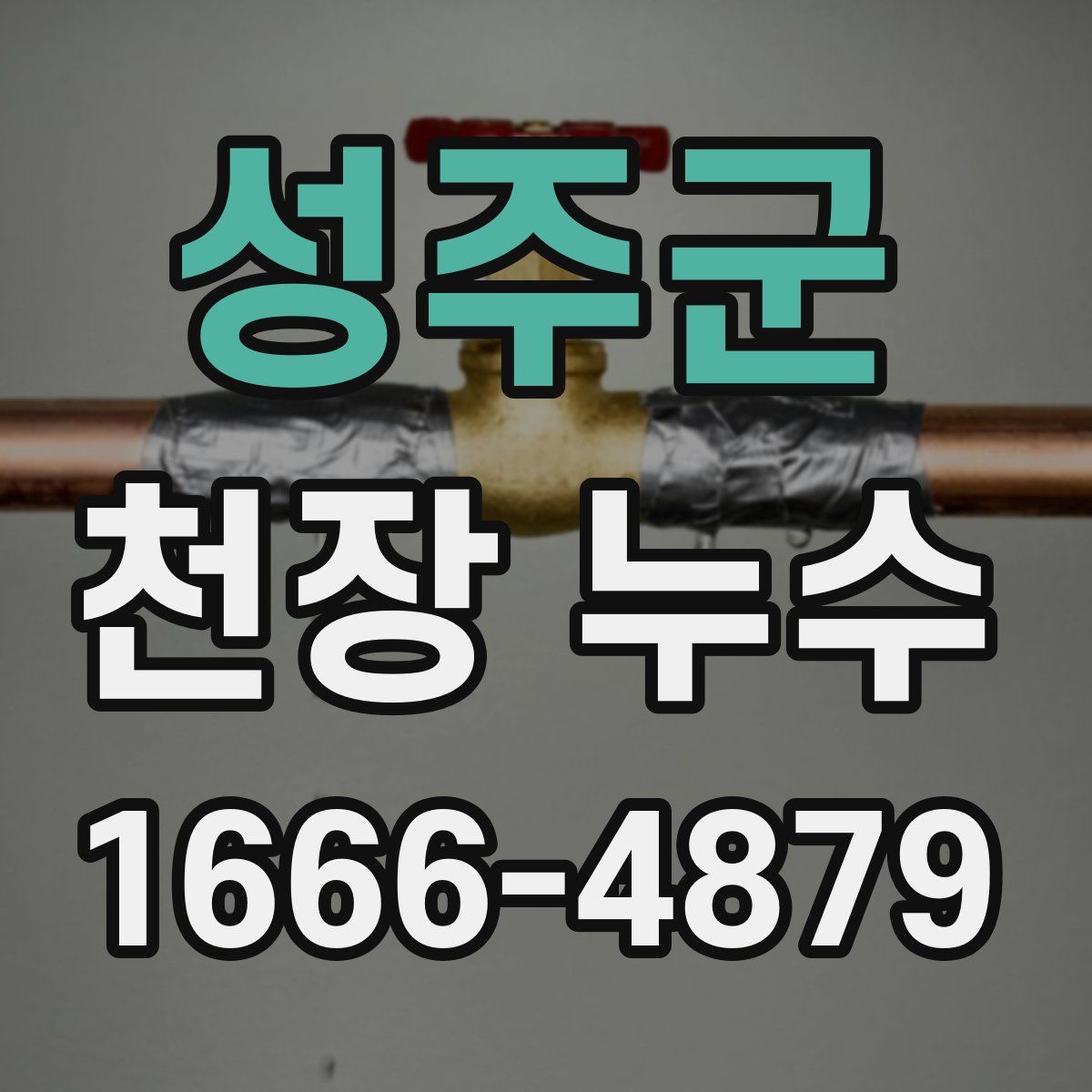 성주군 천장 누수