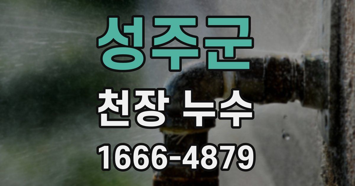 성주군 천장 누수