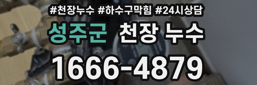 성주군 천장 누수