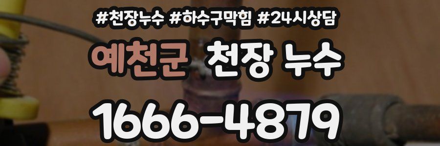 예천군 천장 누수