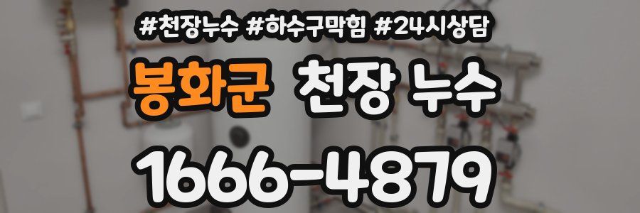 봉화군 천장 누수