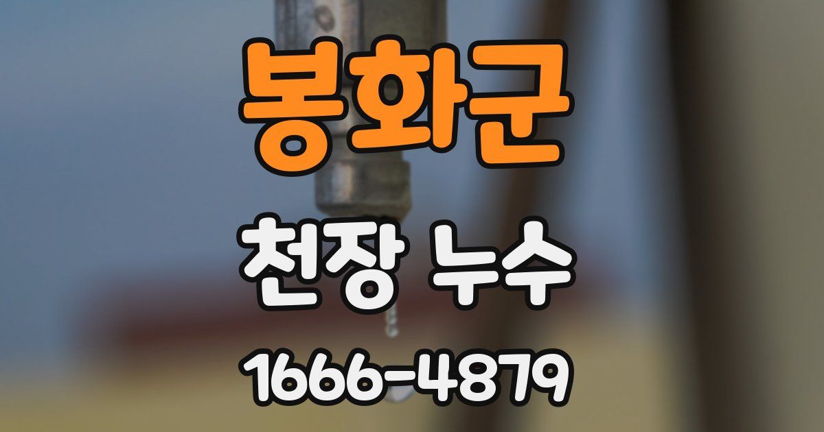 봉화군 천장 누수