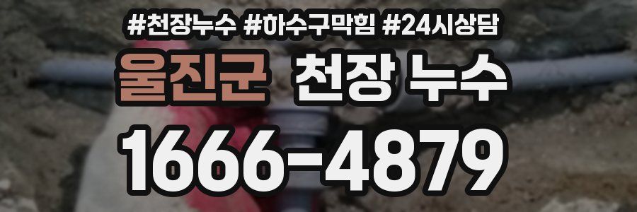 울진군 천장 누수