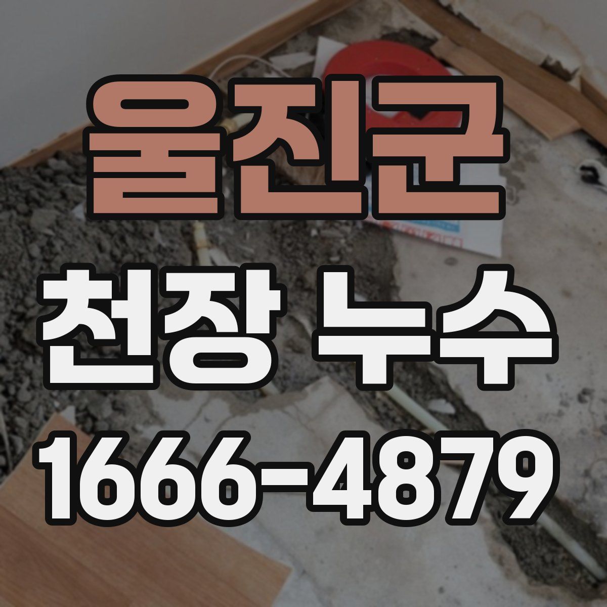 울진군 천장 누수