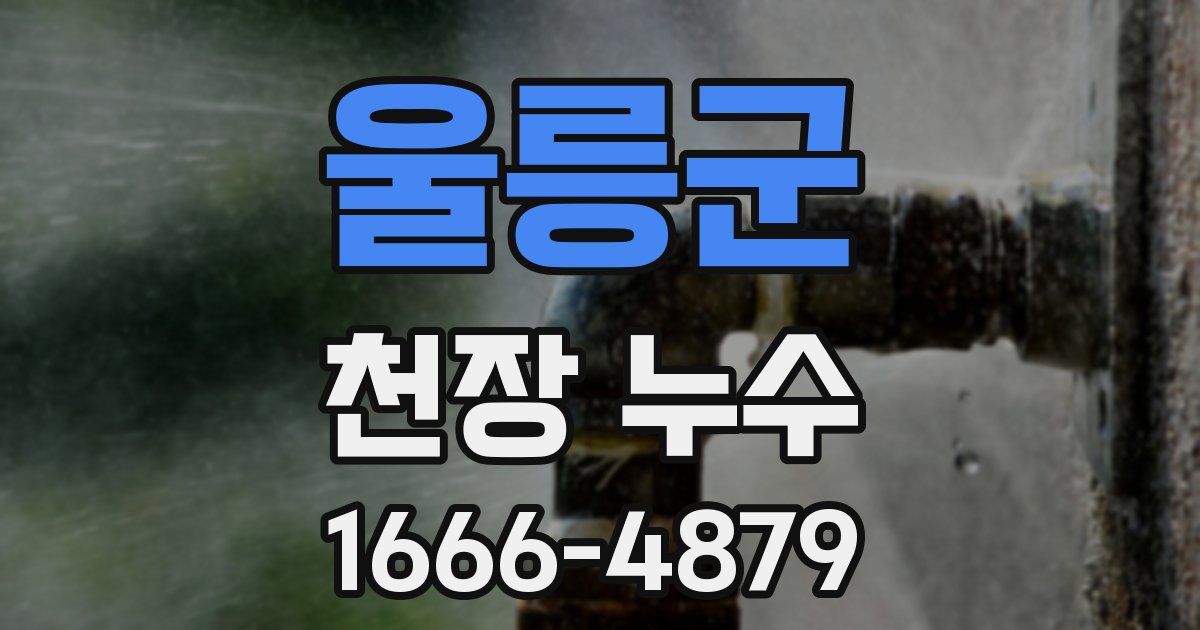 울릉군 천장 누수