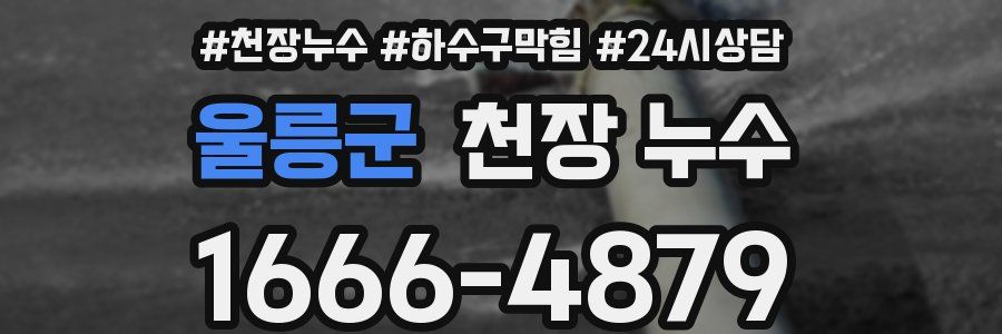 울릉군 천장 누수