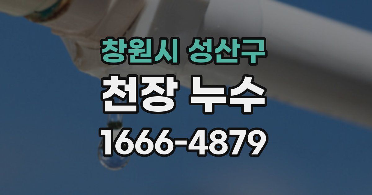 창원시 성산구 천장 누수