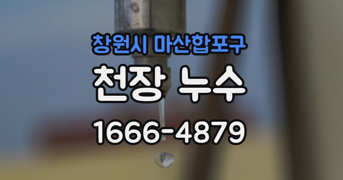 창원시 마산합포구 천장 누수