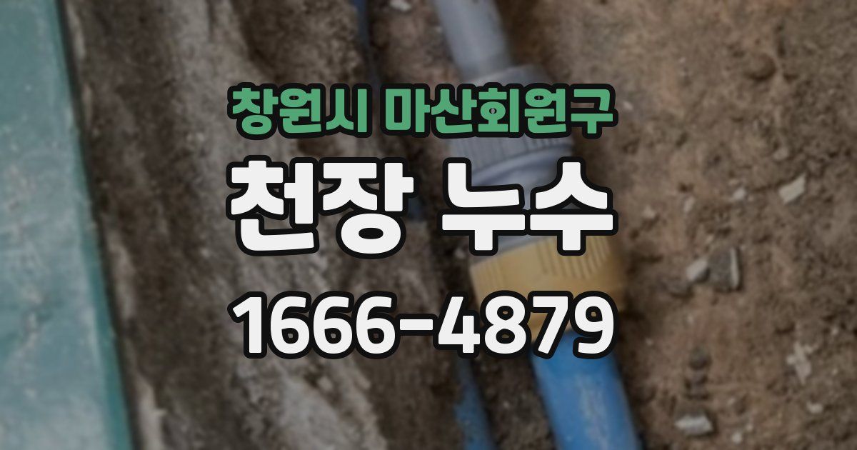 창원시 마산회원구 천장 누수