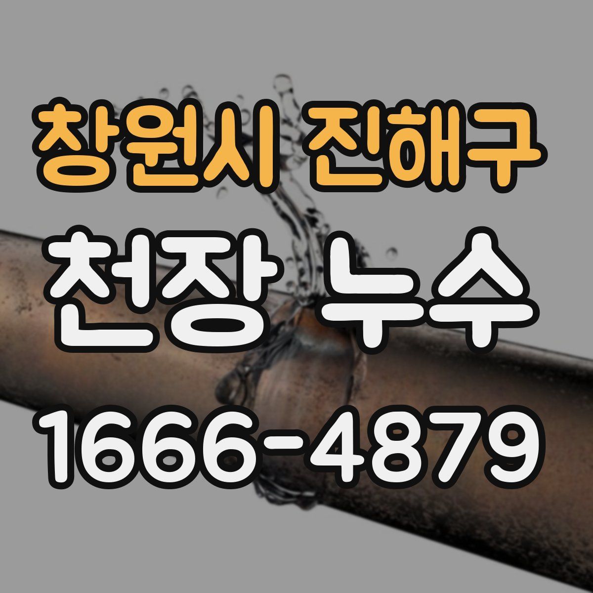 창원시 진해구 천장 누수