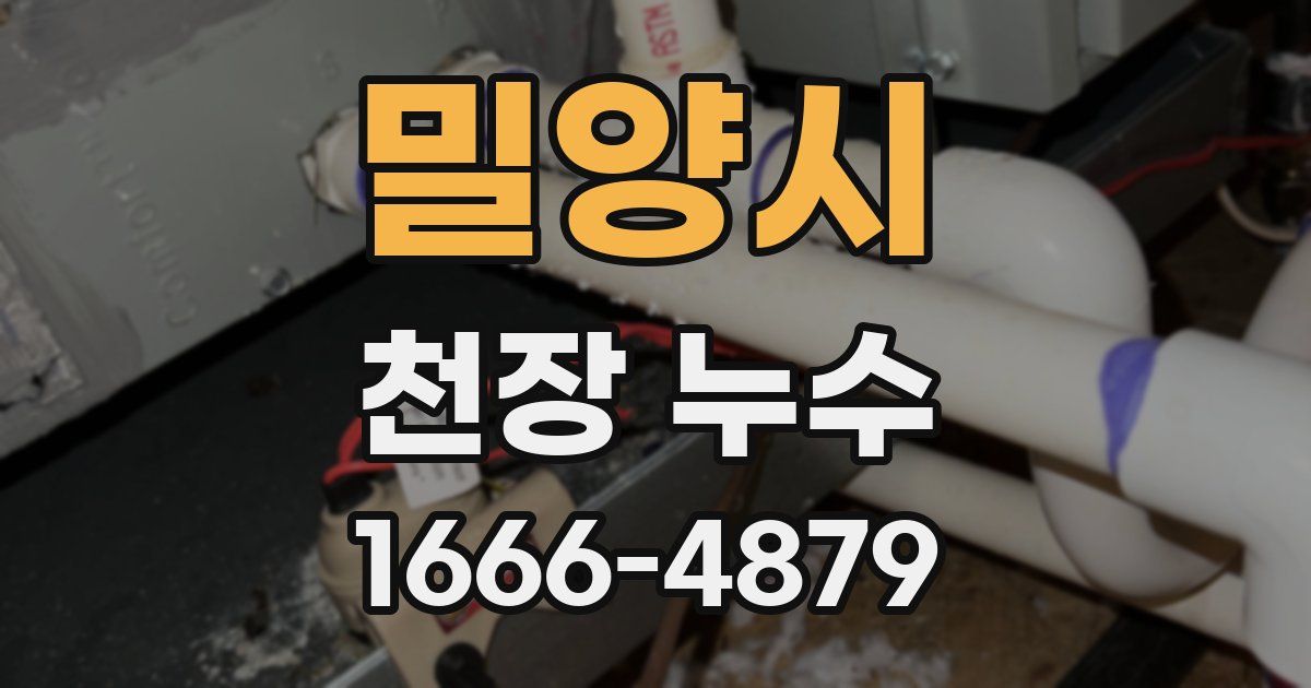 밀양시 천장 누수