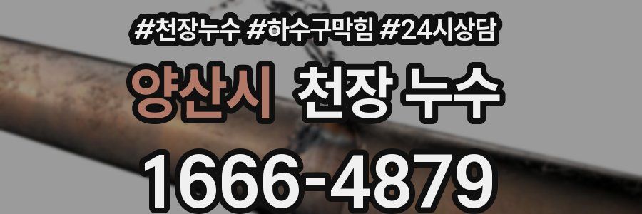 양산시 천장 누수