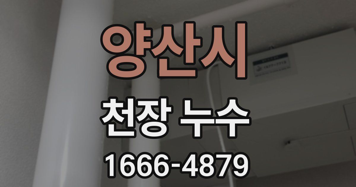 양산시 천장 누수