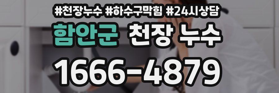 함안군 천장 누수