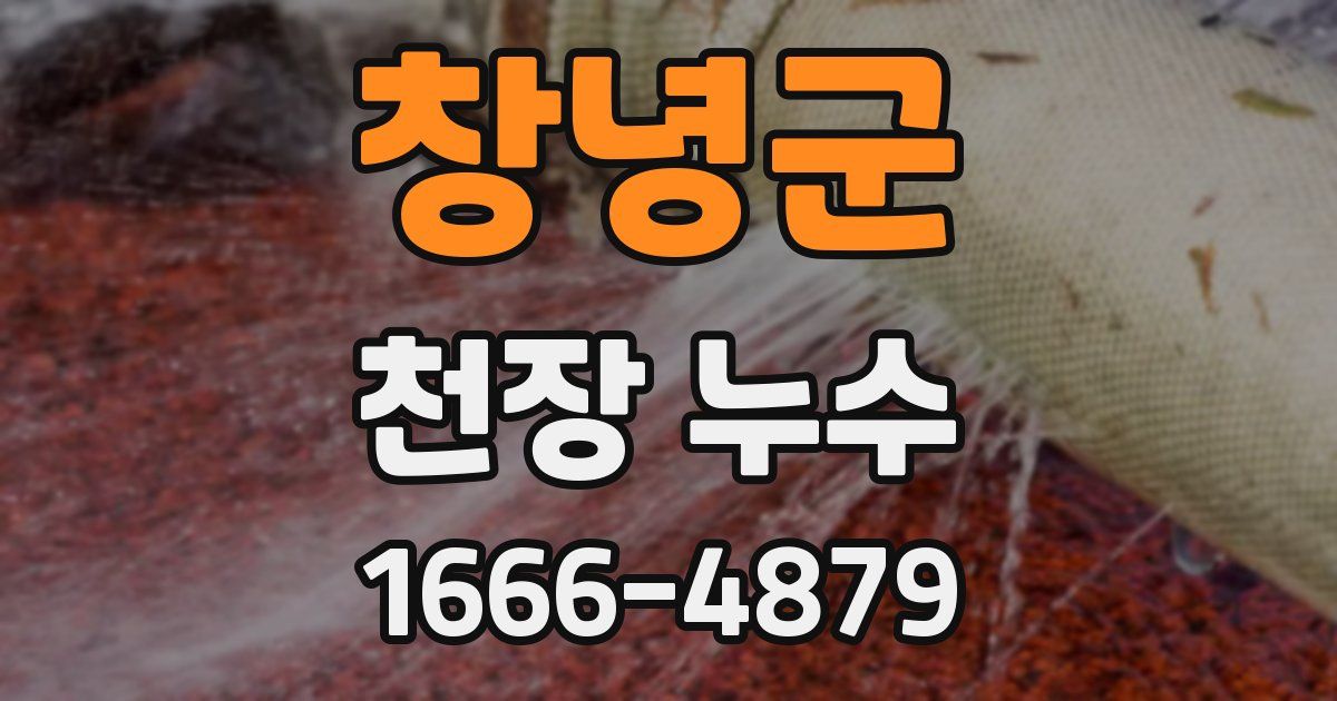 창녕군 천장 누수