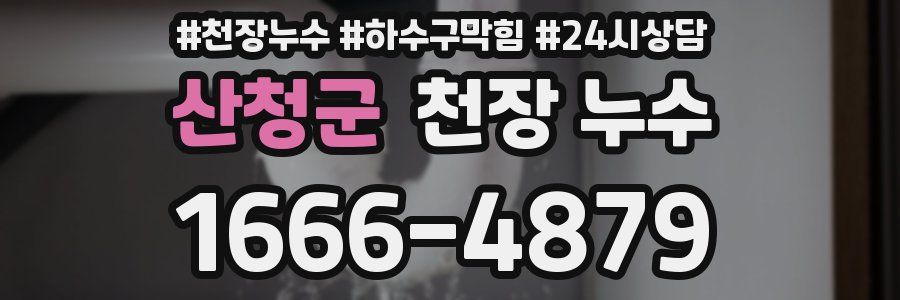 산청군 천장 누수