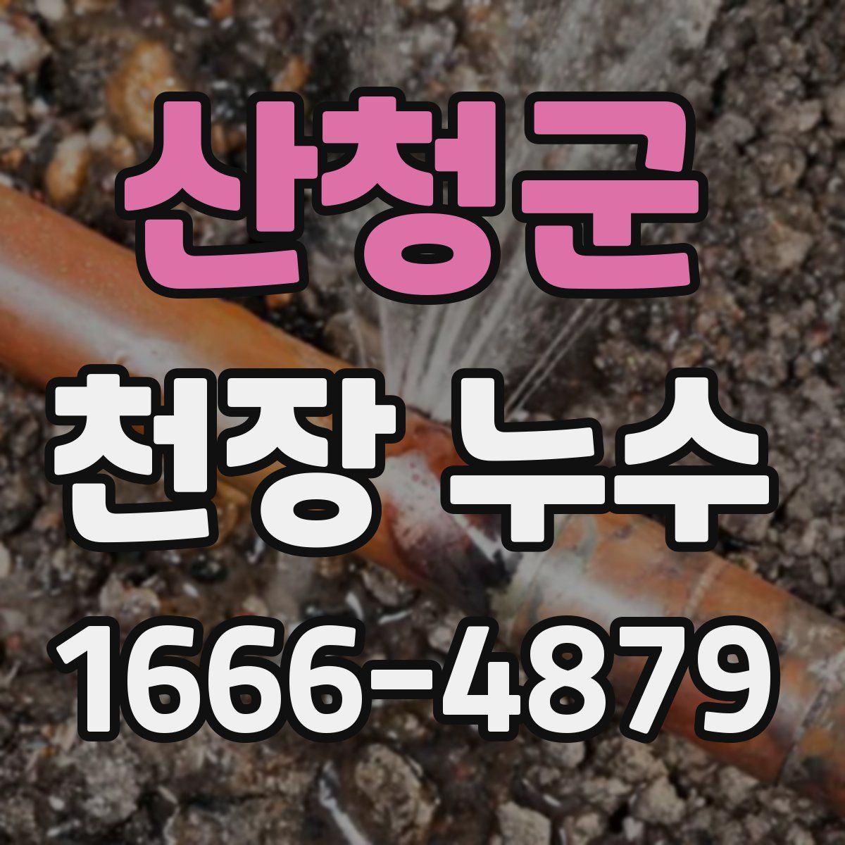 산청군 천장 누수