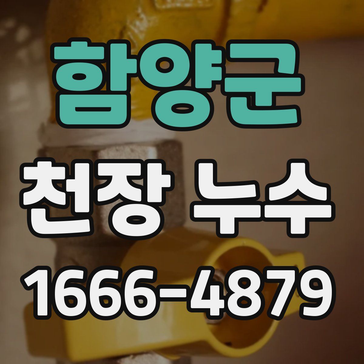 함양군 천장 누수