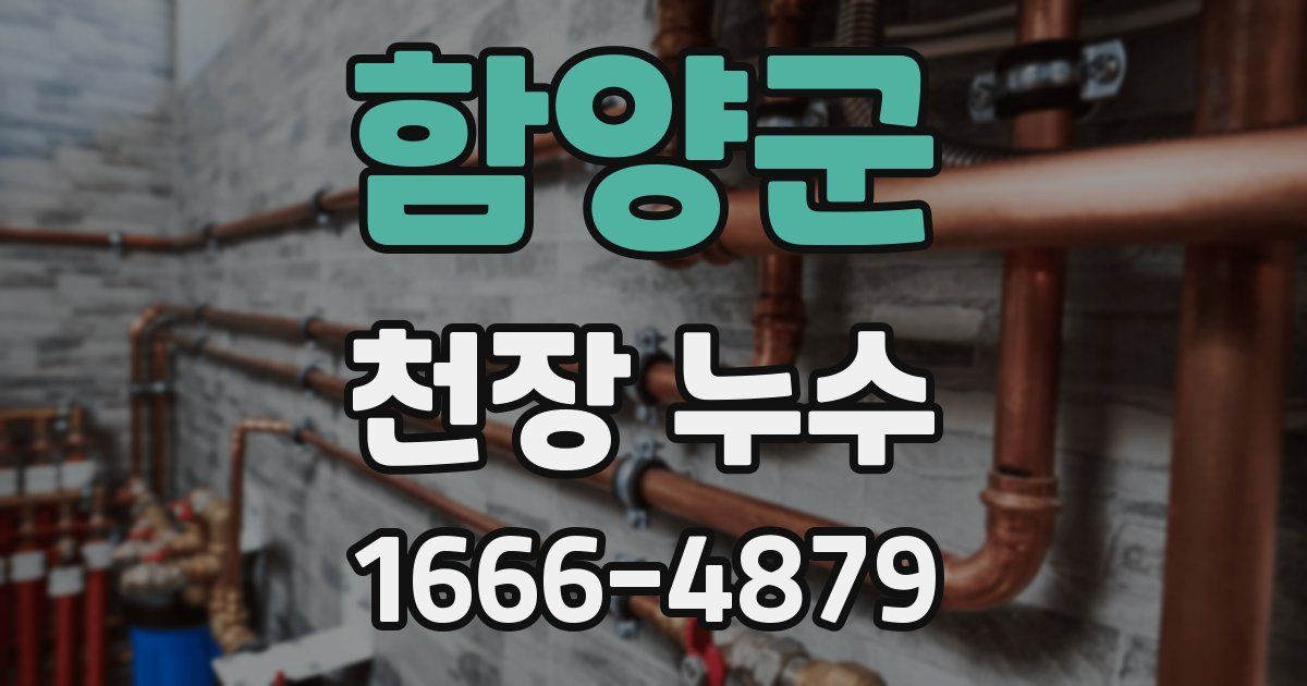 함양군 천장 누수